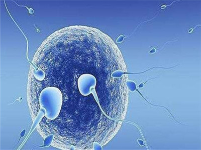 人工孕妈供卵服务怎么预约试管婴儿中心